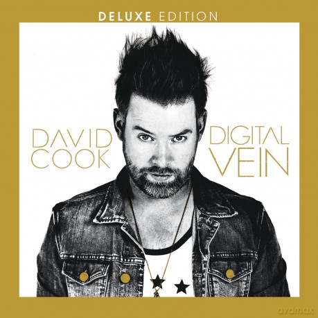 David Cook: Digital Vein [CD]
