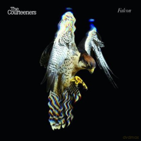 Courteeners: Falcon [CD]