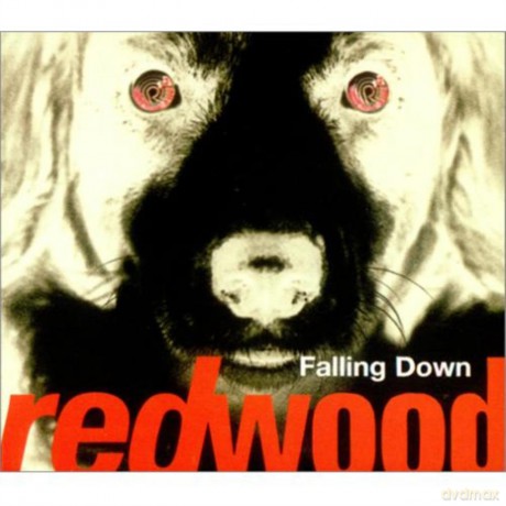 Redwood: Falling Down [CD]