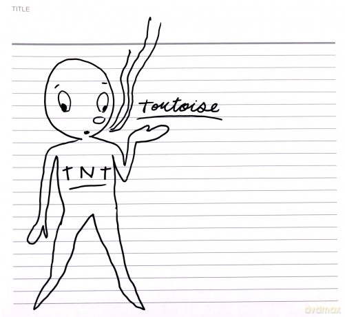 Tortoise: Tnt [CD]