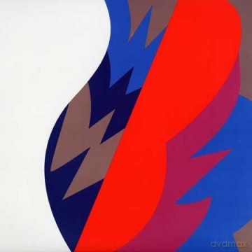 The Fiery Furnaces: Remember [3xWinyl]
