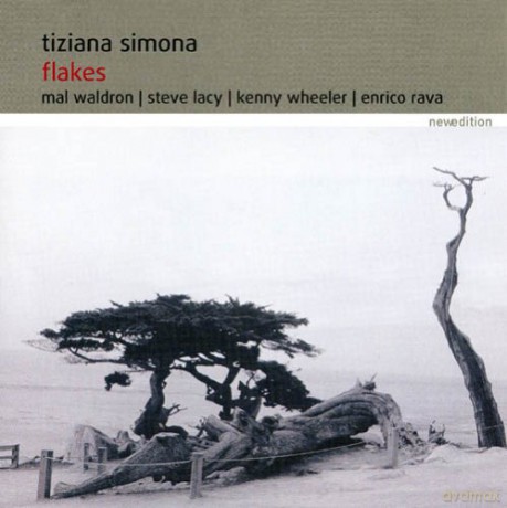 Tiziana Simona: Flakes [CD]