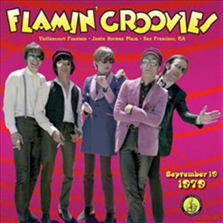 Flamin' Groovies: Flamin'' Groovies - Live From The V [CD]