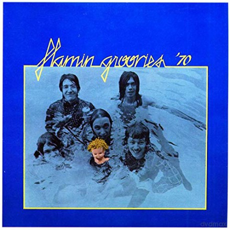 Flamin' Groovies-70-Collection [CD]