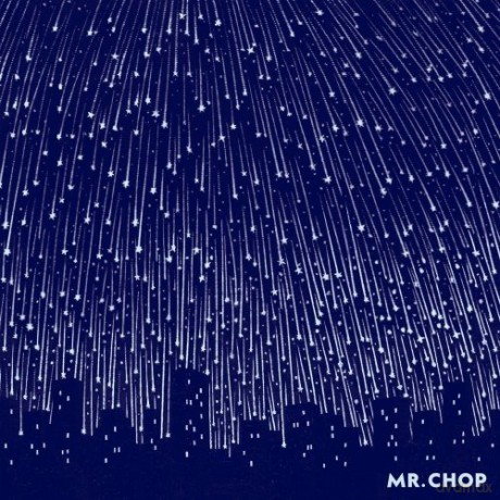 Mr Chop: For Pete's Sake [CD]