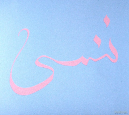 Xiu Xiu: Forget [CD]