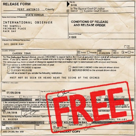 International Observer: Free From The Dungeons Of Dub [CD]