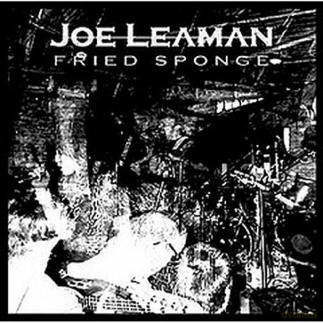 Leaman Joemeadows: Fried Sponge [CD]