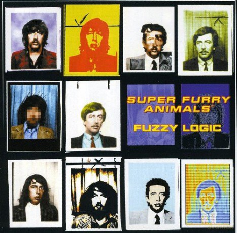 Fuzzy Logic: Fuzzy Logic [CD]