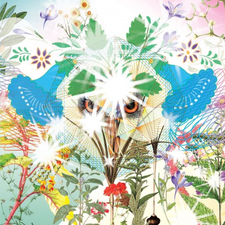 Ooioo: Gamel [CD]