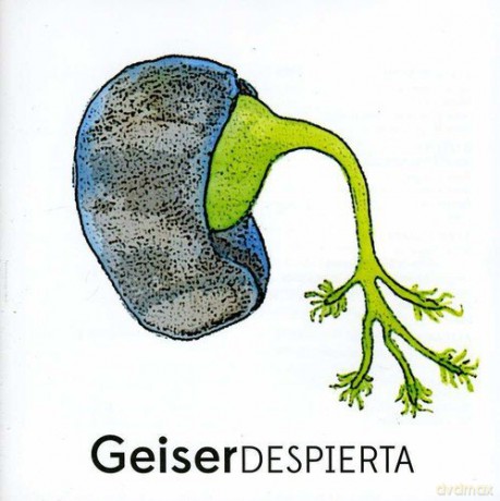 Geiser-Despierta [CD]