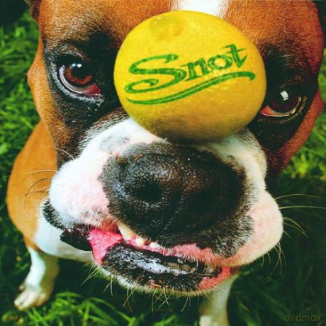 Snot: Get Some [CD]