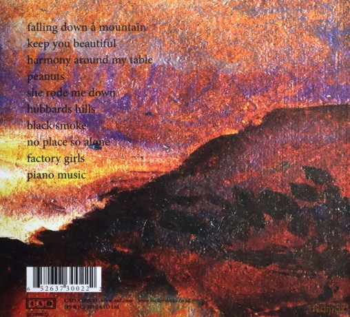Tindersticks: Falling Down A Mountain [CD]