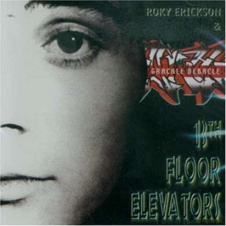 The 13th Floor Elevators: Gracke Debacle [CD]