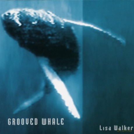 Lisa Walker: Grooved Whale [CD]