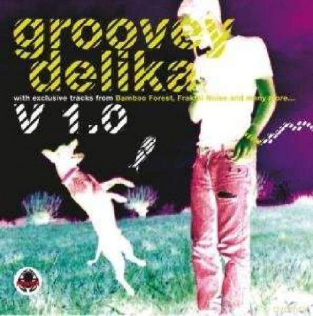 Grooveydelika V.1 [CD]