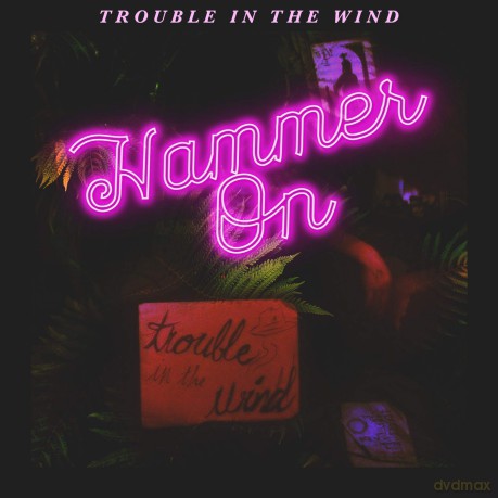 Trouble in the Wind: Hammer On [CD]