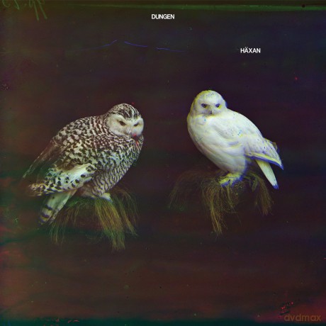 Dungen: Haxan [CD]