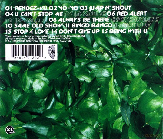 Basement Jaxx: Remedy [CD]