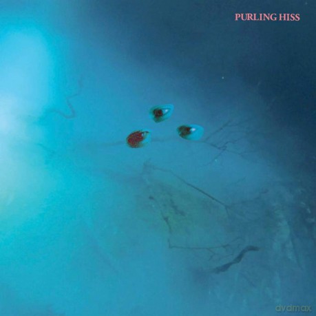Purling Hiss: High Bias [CD]
