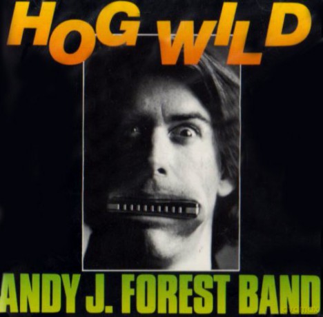 Andy J. Forest: Hog Wild [CD]