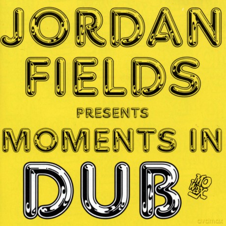 Jordan Fields: Moments In Dub [CD]