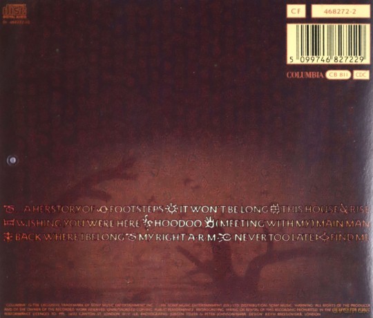 Alison Moyet: Hoodoo [CD]
