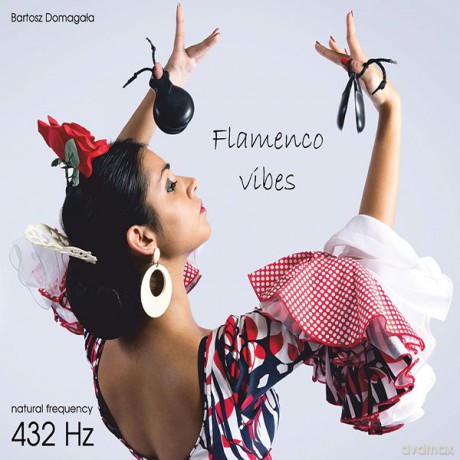 Bartosz Domagała: Flamenco vibes [CD]