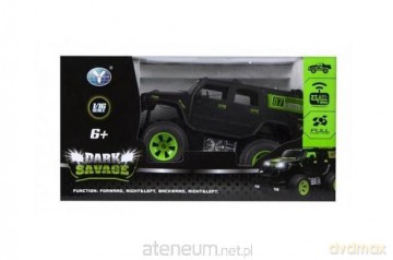 Auto terenowe zdalnie sterowane