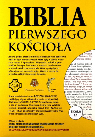 Biblia pierwszego Kościoała z paginat. szara [KSIĄŻKA]