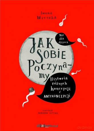 Jak sobie poczynamy. Historia różnych koncepcji - Iwona Wierzba [KSIĄŻKA]