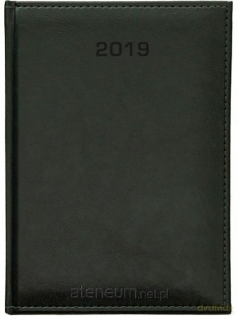 Kalendarz 2019 Dzienny A4 Nebraska zielony [KALENDARZ]