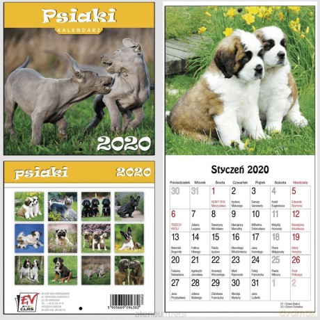 Kalendarz 2020 13 Plansz 16x16 cm Psiaki [KALENDARZ]