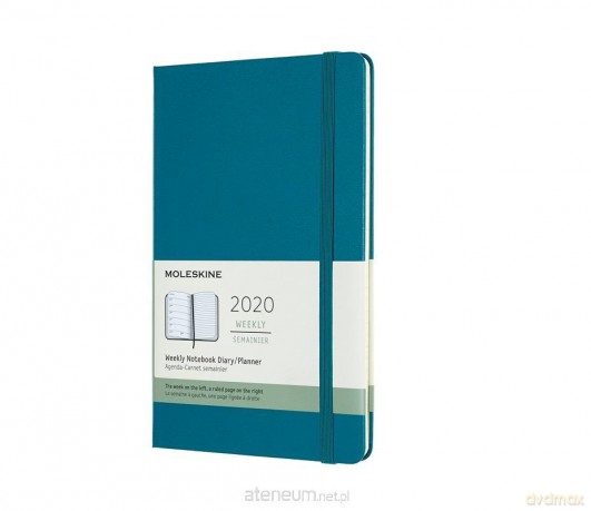 Kalendarz 2020 tygodniowy 12MLMagnetic green [KALENDARZ]