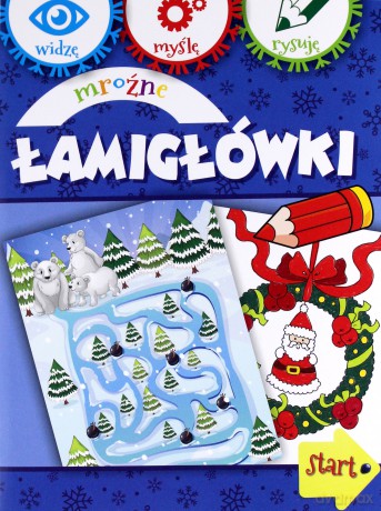 Mroźne łamigłówki - Anna Wiśniewska [KSIĄŻKA]