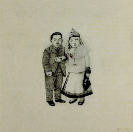 The Decemberists: The Crane Wife [CD]