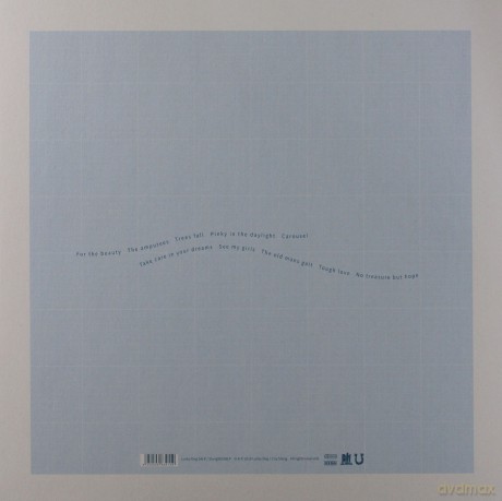 Tindersticks: No Treasure But Hope (Limited) [Winyl]
