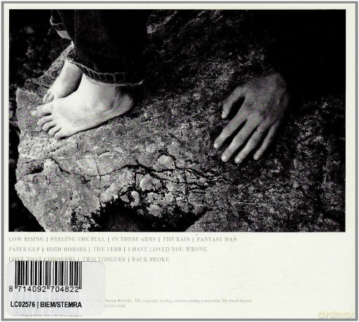The Swell Season: Strict Joy [CD]