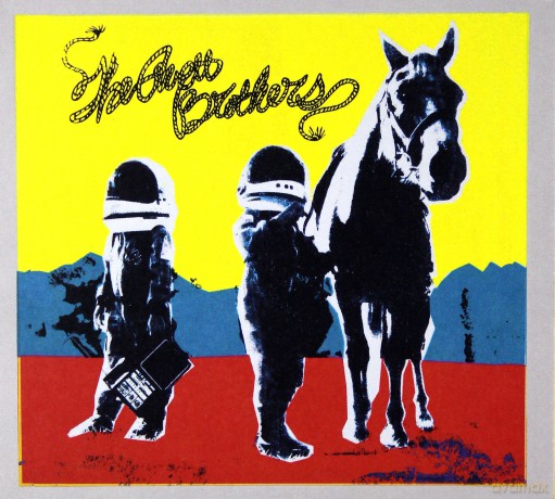 The Avett Brothers: True Sadness [CD]