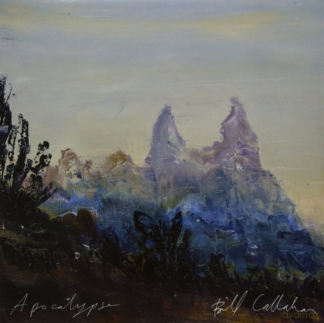 Bill Callahan: Apocalypse [Winyl]