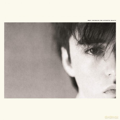 Felt: Crumbling The Antiseptic Beauty (Deluxe Remastered Gatefold Sleeve Vinyl) [Winyl]