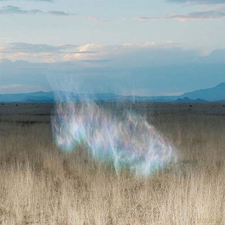 Hollie Kenniff: Gathering Dawn [CD]