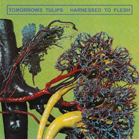 Tomorrows Tulips: Harnessed To Flesh [CD]