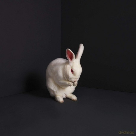 Brume: Rabbits [CD]