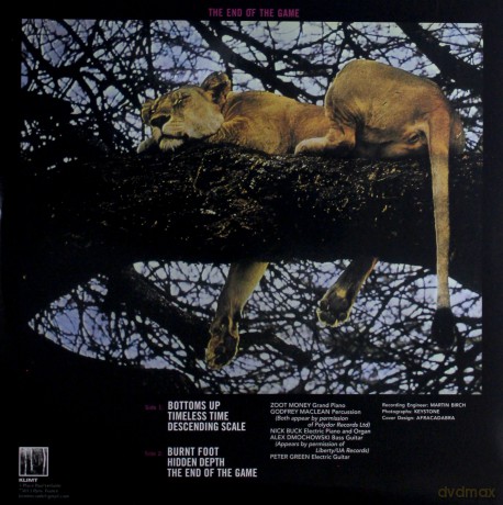 Peter Green: The End Of The Game (White) [Winyl]