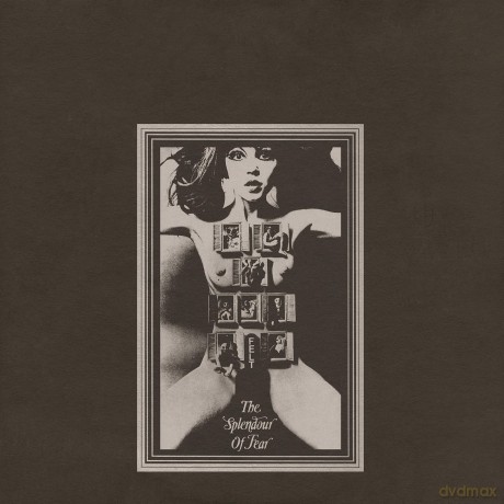 Felt: The Splendour Of Fear (Deluxe) [Winyl]