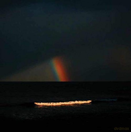 Electric Litany: Under A Common Sky [Winyl]