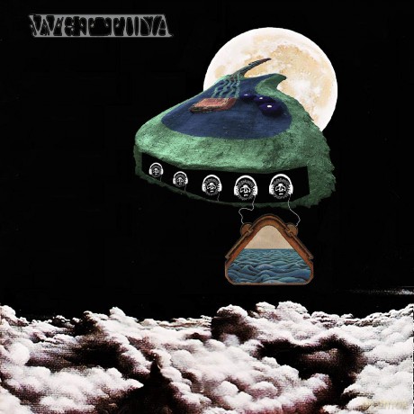 Wet Tuna: Water Weird [Winyl]