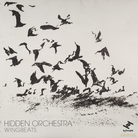 Hidden Orchestra: Wingbeats [Winyl]