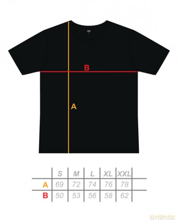 Hades: COMBO - rozmiar L T-shirt